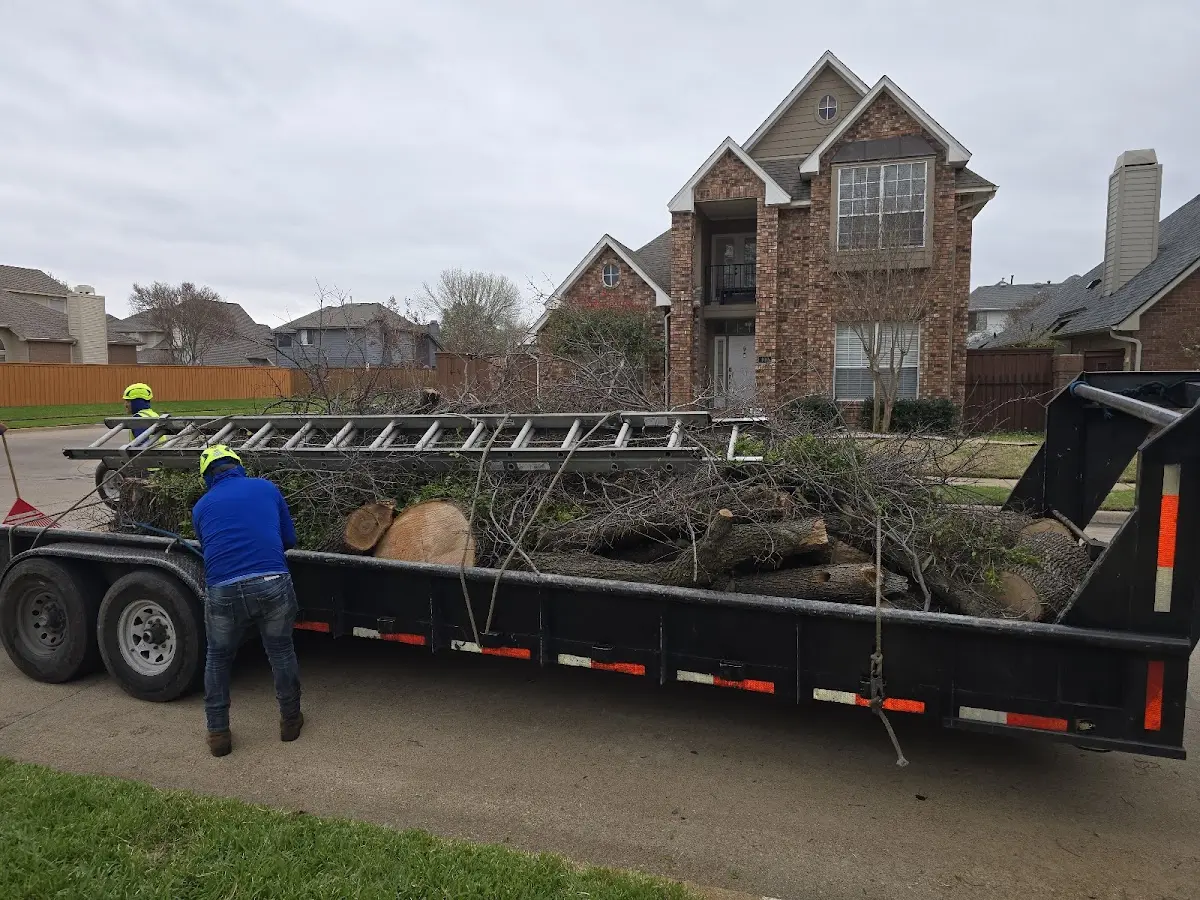 Expert Lot Clearing with proper safety equipment in De Graff